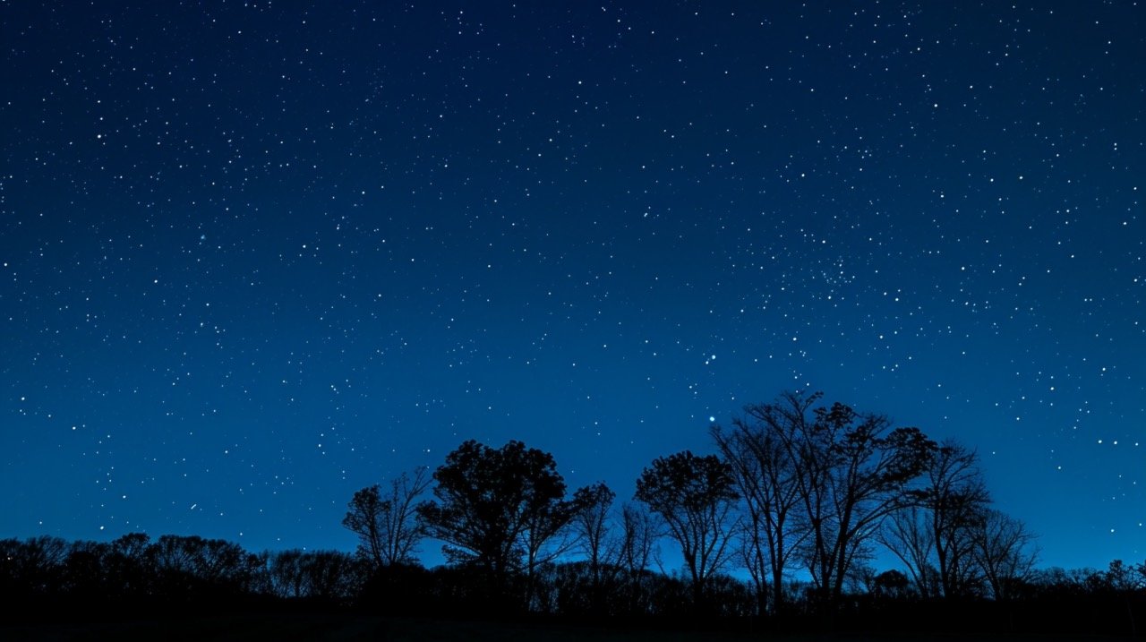 HD Blue Wallpapers of Silhouette Trees, Night Sky and Star Images in Prince Edward County