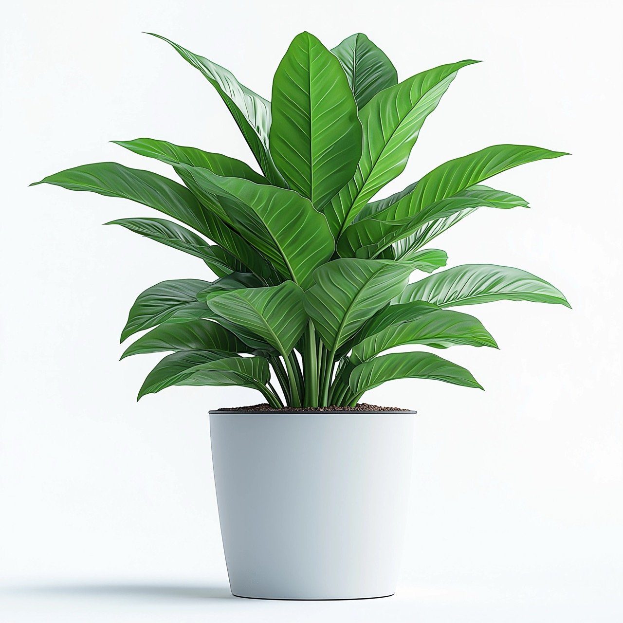 Outdoor Planter Isolated on White Background – High-Quality Stock Photo with Clipping Path for Design Projects