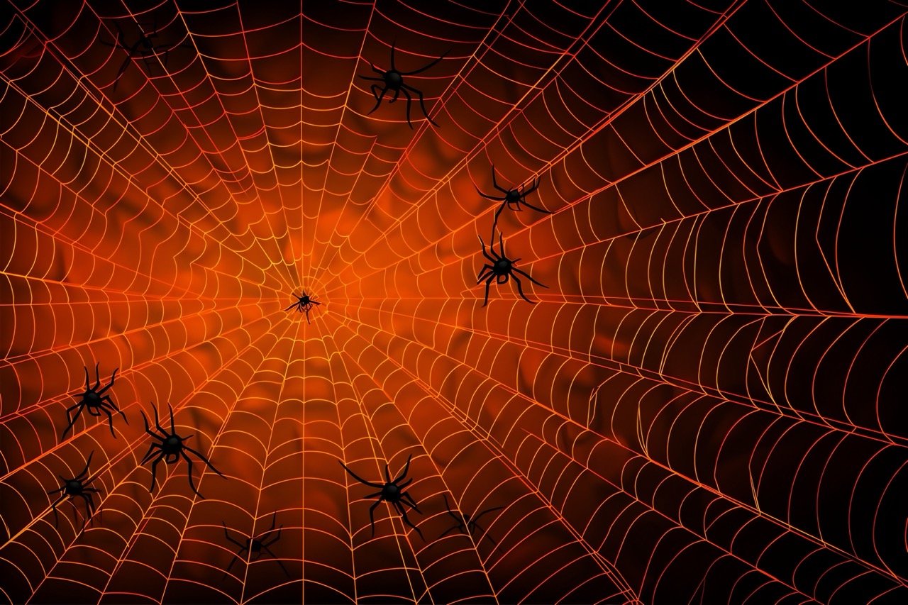 An orange wall vector background for Halloween with spider web elements, in a stock illustration