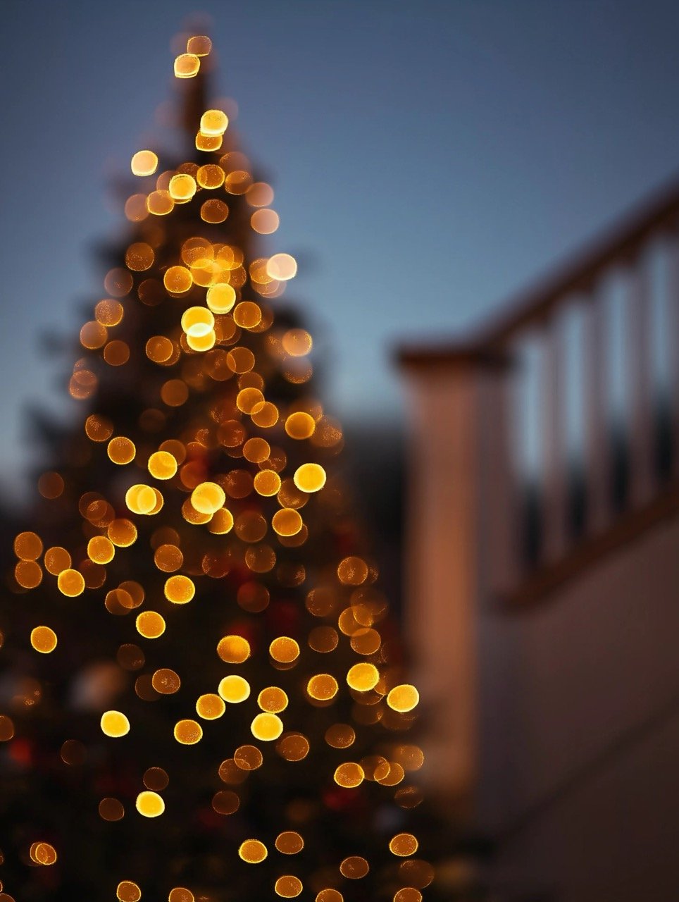 Silhouette of Christmas tree with illuminated lights and defocused glowing effect in festive ambiance