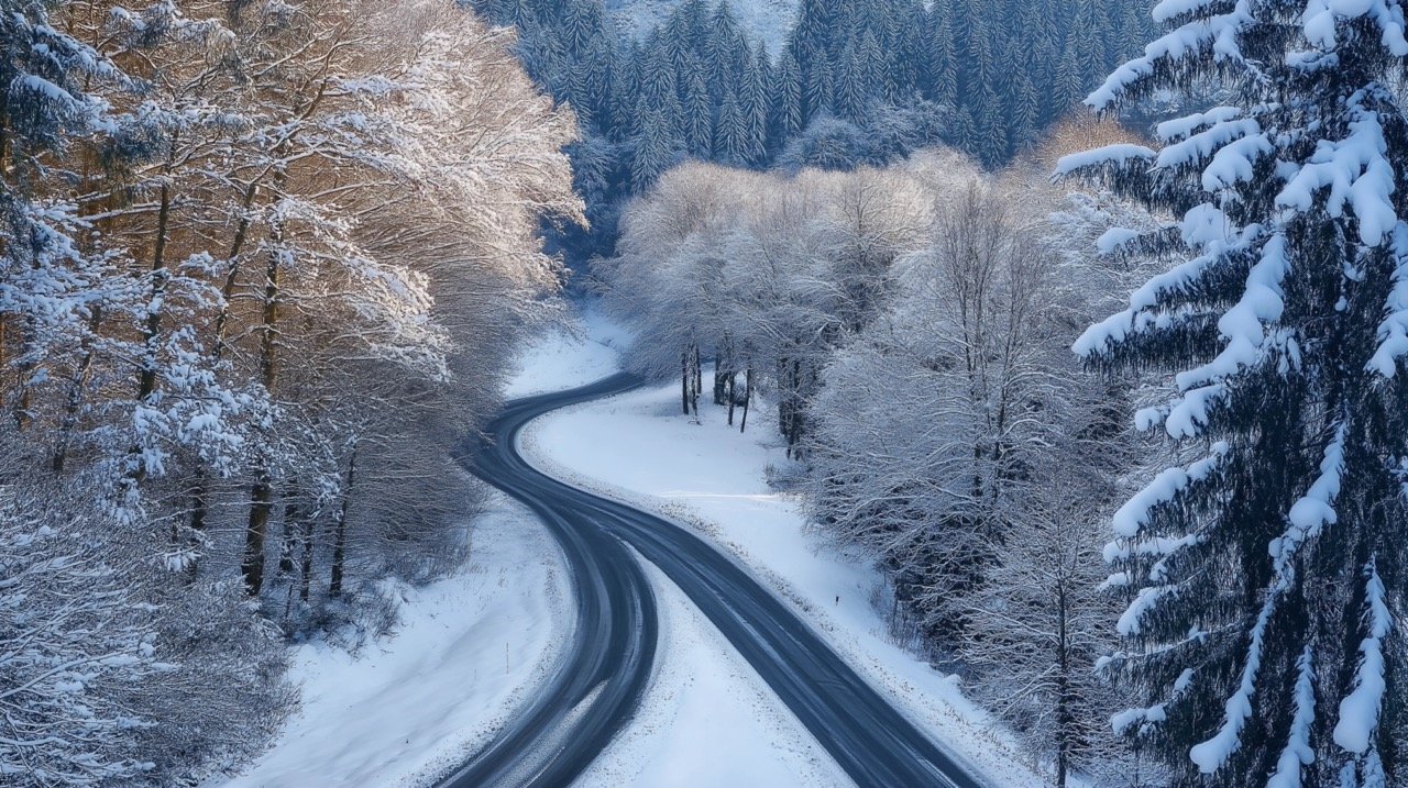 Car Driving on Snowy Road in Winter Forest Surrounded by Snowcapped Trees and Beautiful Scenery