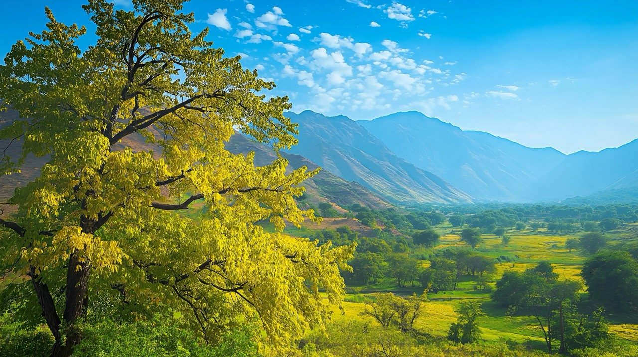 Northern India’s picturesque landscape in springtime, ideal for exploring nature and capturing scenic photography.